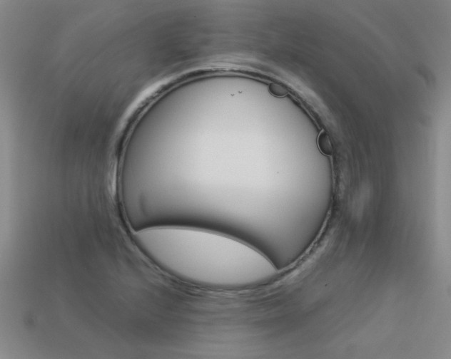 X0000113351224200909151019