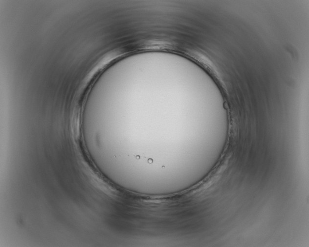 X0000113351227200909151019