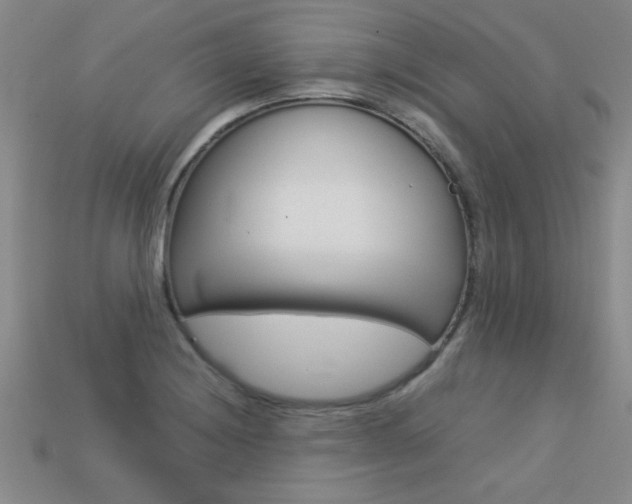 X0000113351228200909151019