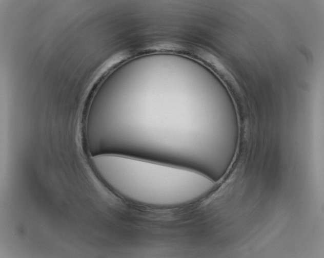 X0000113351229200909151019