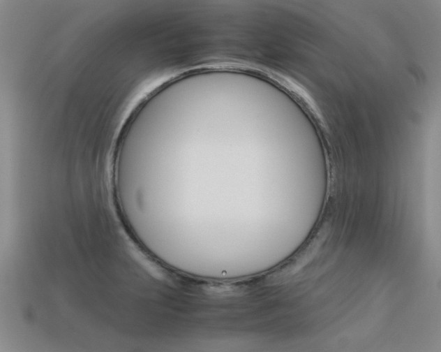 X0000113351231200909151019