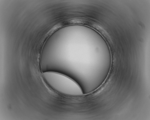 X0000113351233200909151019