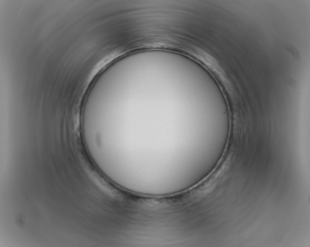 X0000113351234200909151019