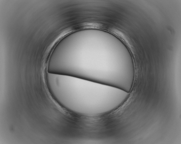 X0000113351235200909151019