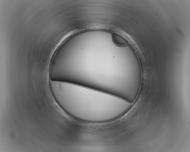 X0000113351236200909151019