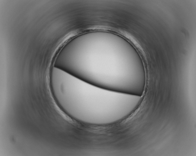 X0000113351237200909151019