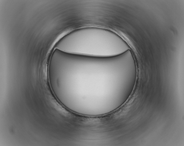 X0000113351238200909151019