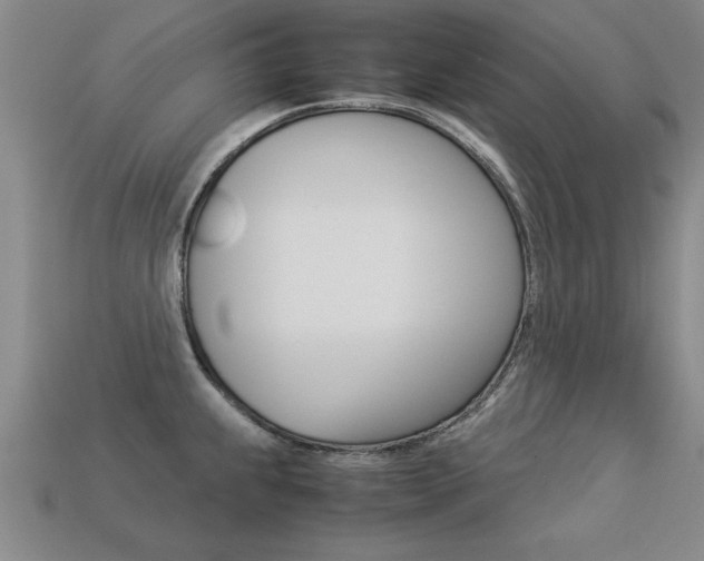 X0000113351239200909151019
