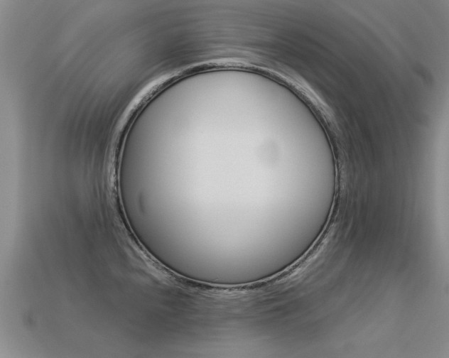 X0000113351240200909151019