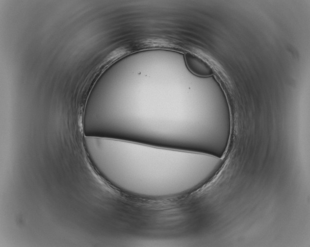 X0000113351241200909151020