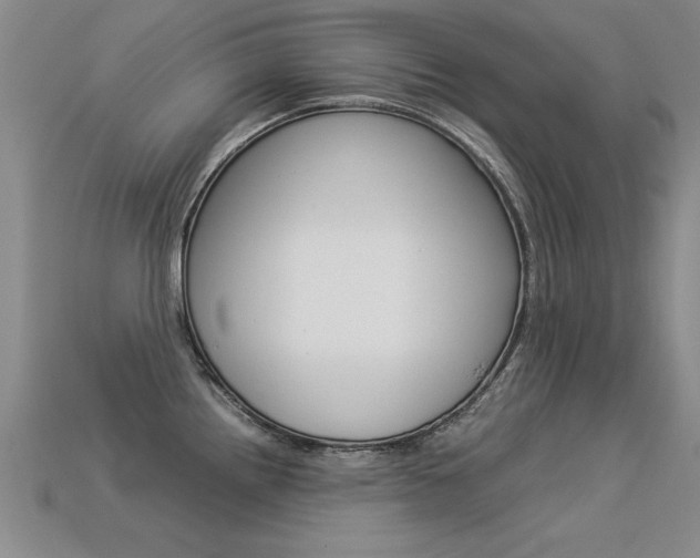 X0000113351242200909151020