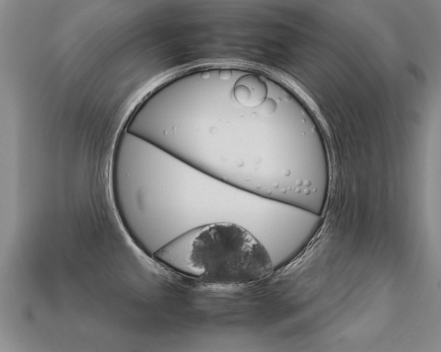 X0000113351245200909151020