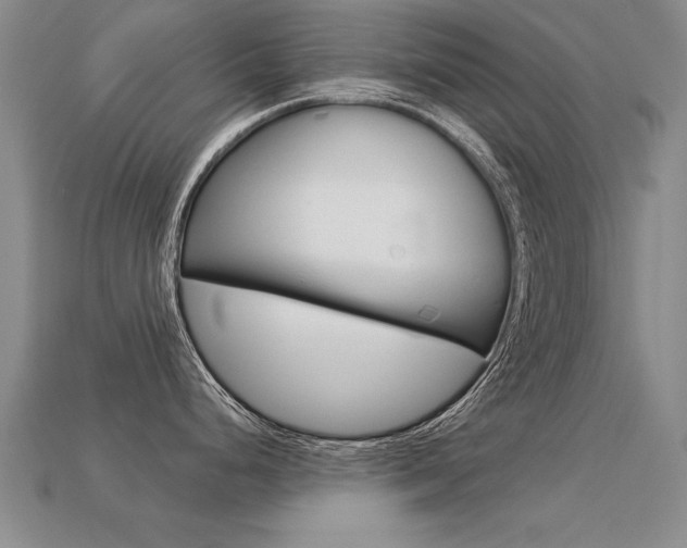 X0000113351248200909151020