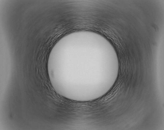 X0000113351249200909151019