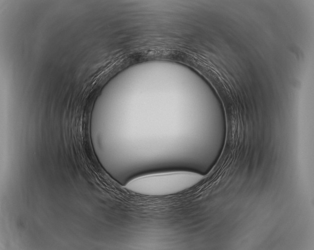 X0000113351250200909151019