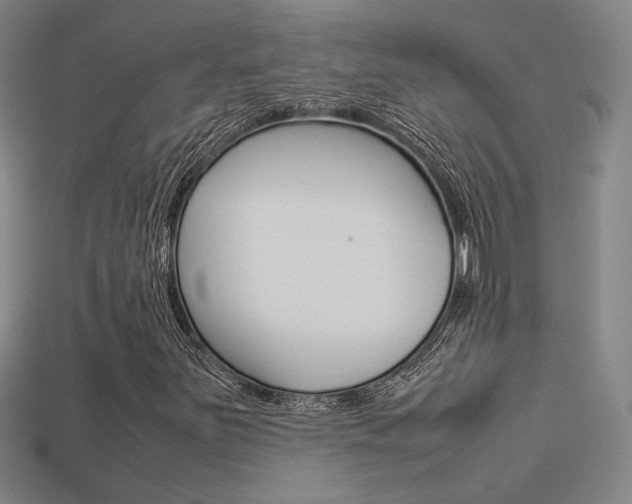 X0000113351251200909151019