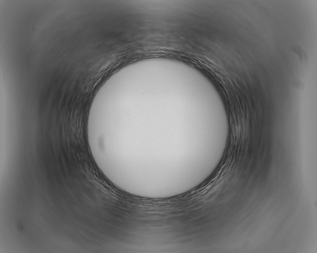 X0000113351252200909151019