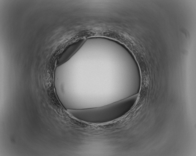 X0000113351253200909151019