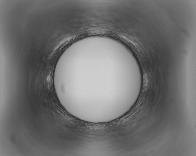 X0000113351254200909151019