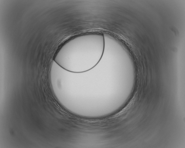 X0000113351257200909151019