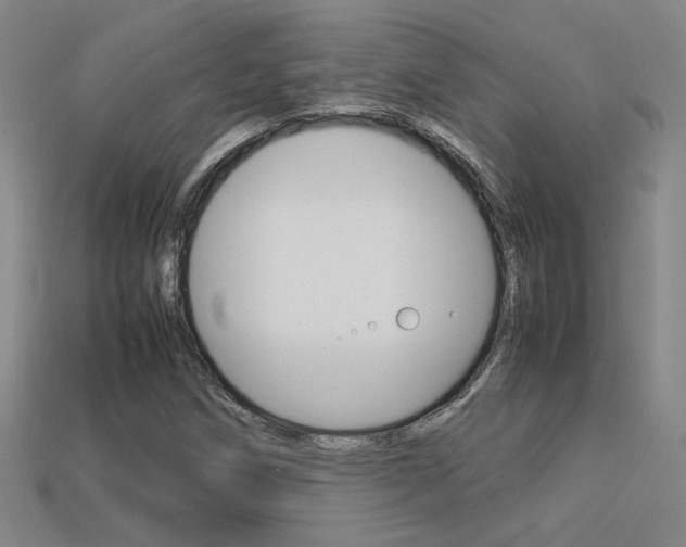 X0000113351258200909151019