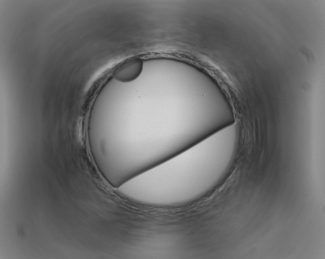 X0000113351262200909151019