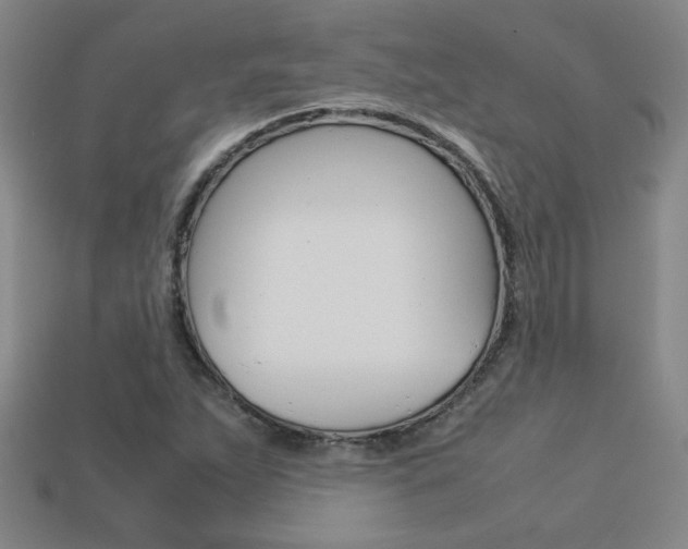 X0000113351263200909151019