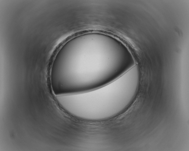 X0000113351264200909151019