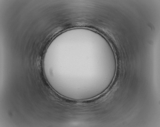 X0000113351265200909151019