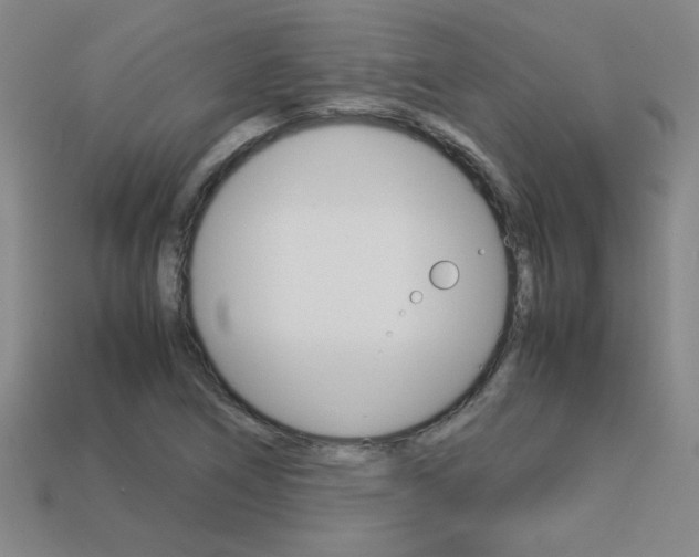 X0000113351266200909151019
