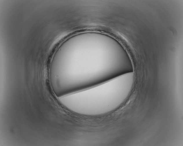 X0000113351267200909151019