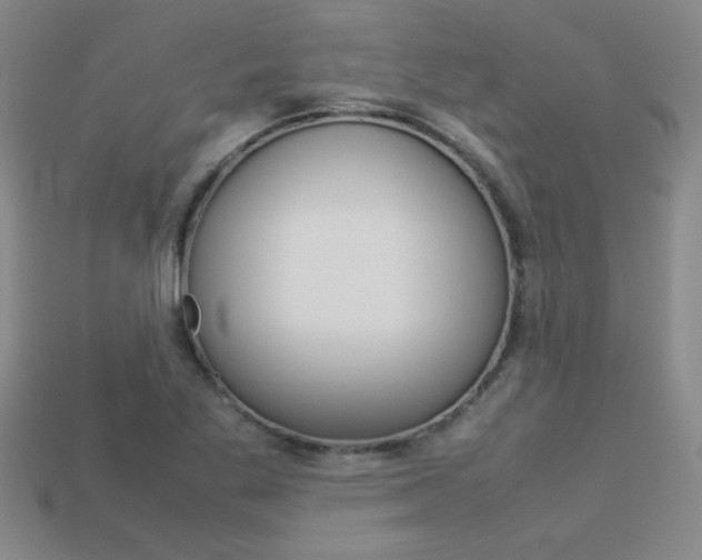 X0000113351269200909151019