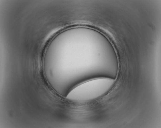 X0000113351271200909151019