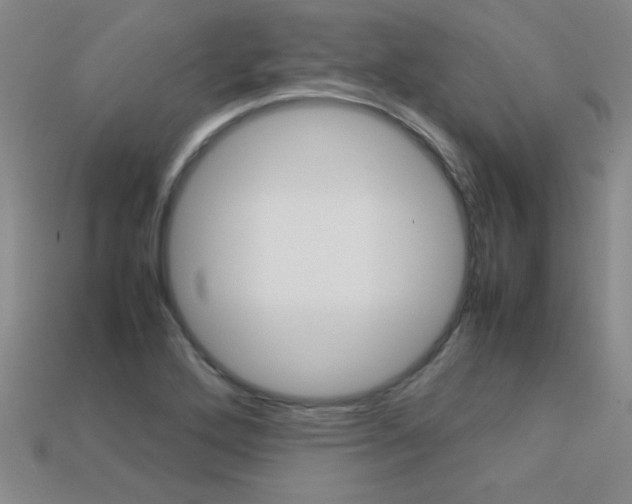 X0000113351272200909151019