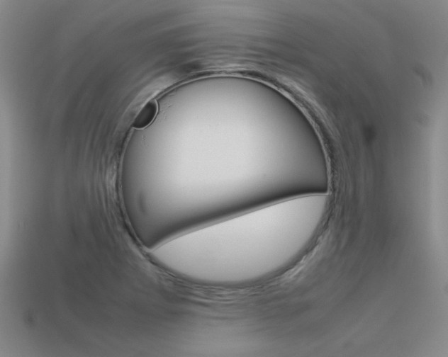 X0000113351273200909151019