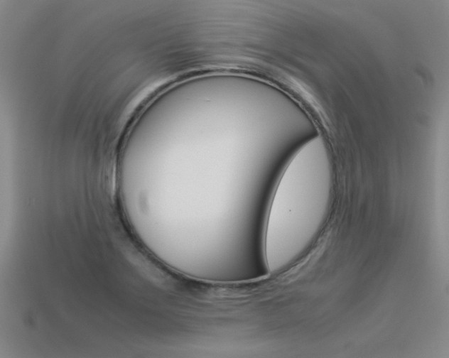 X0000113351275200909151019