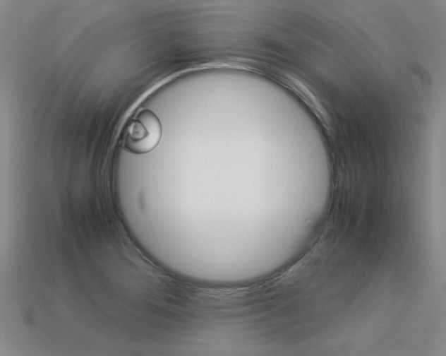 X0000113351276200909151019