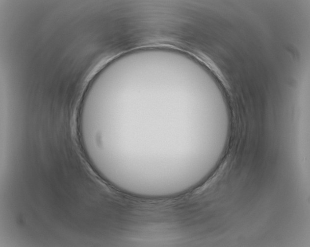 X0000113351277200909151019