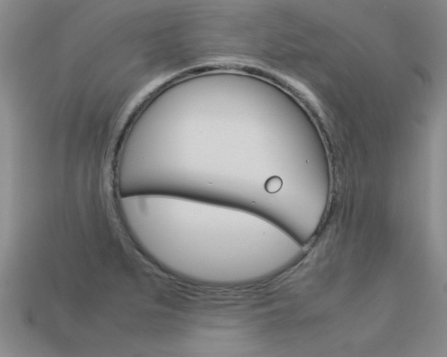 X0000113351279200909151019