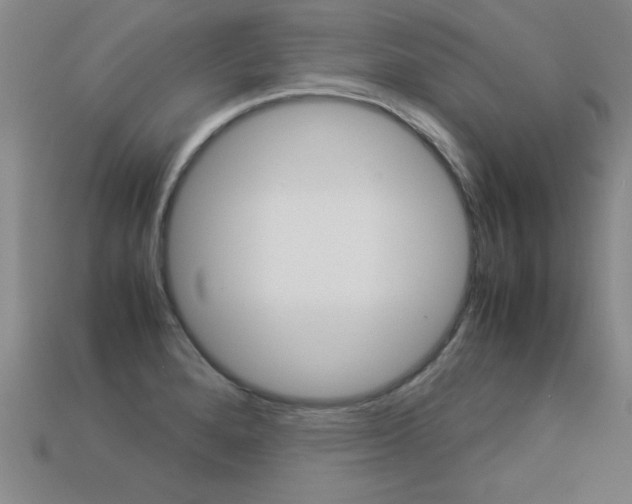 X0000113351280200909151019