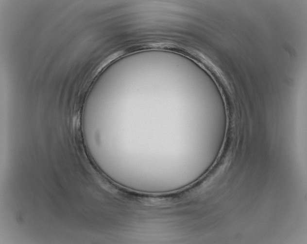 X0000113351281200909151019