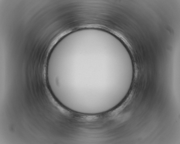 X0000113351282200909151019