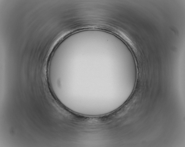 X0000113351283200909151019