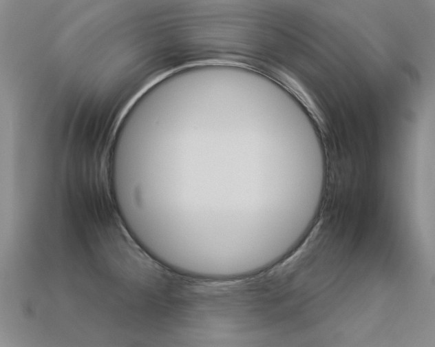 X0000113351284200909151019