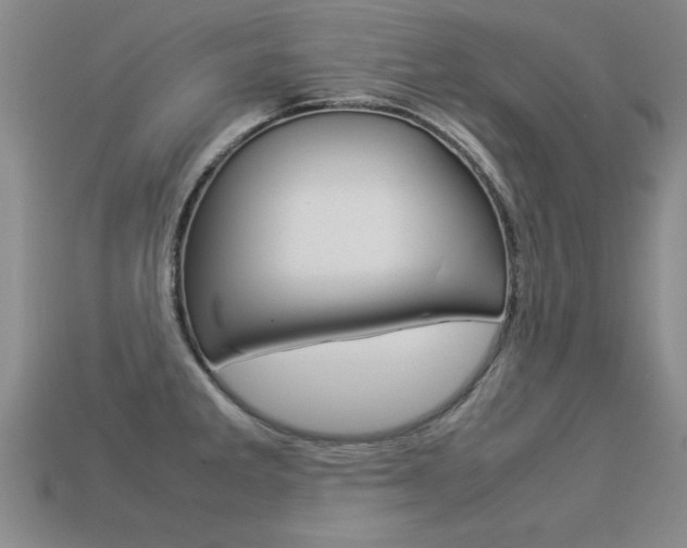 X0000113351285200909151019