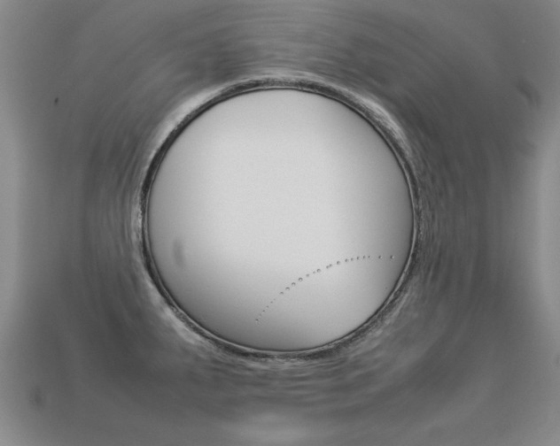 X0000113351287200909151018
