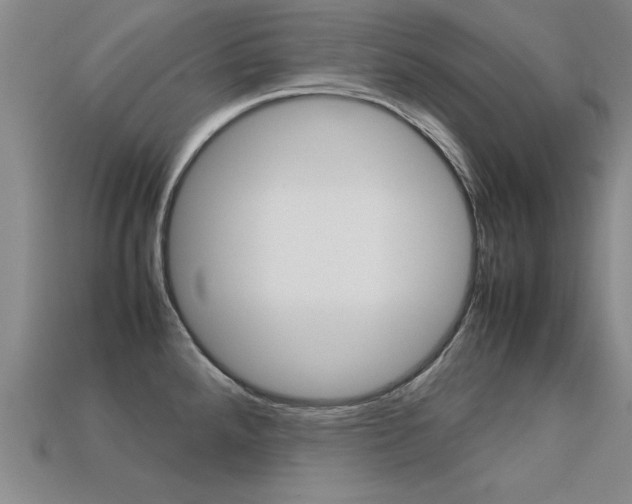 X0000113351288200909151018