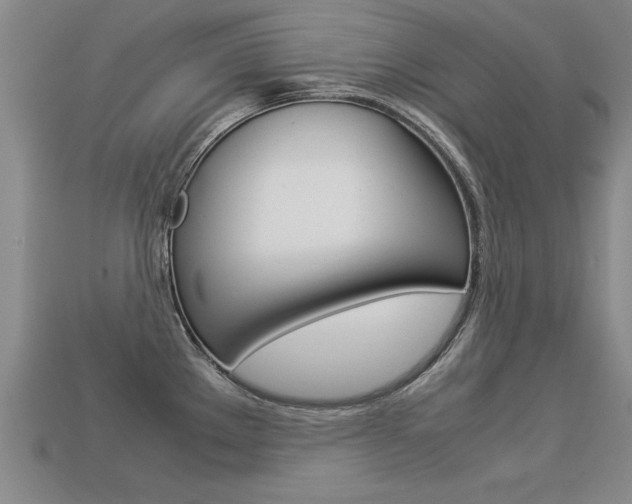 X0000113351289200909151018
