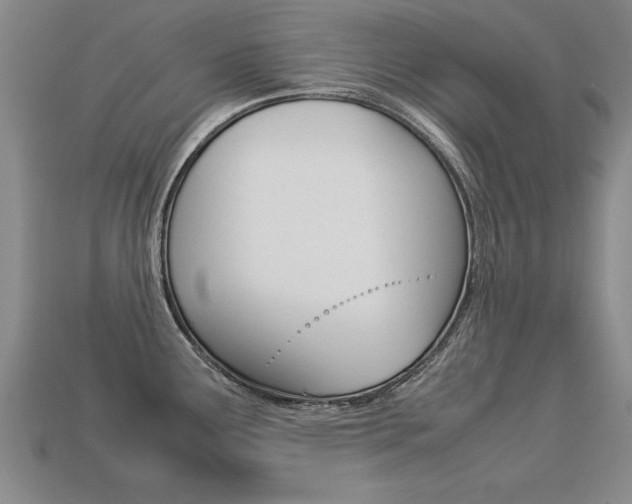 X0000113351291200909151018