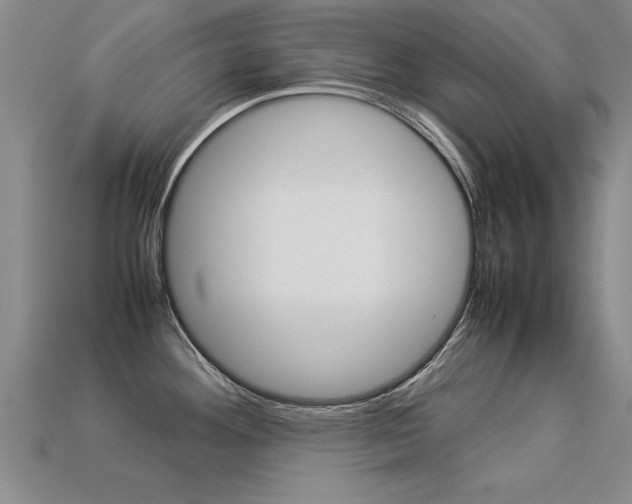 X0000113351292200909151018